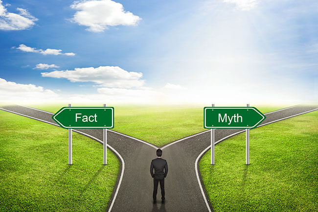 fact-fiction-myth-logbook-loan-online