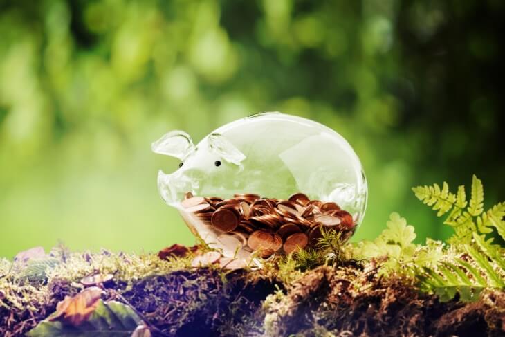 Panorama banner of a cute green piggy bank in nature on a moss covered ledge with ferns in a forest or woodland with copy space in a savings, financial or donation concept